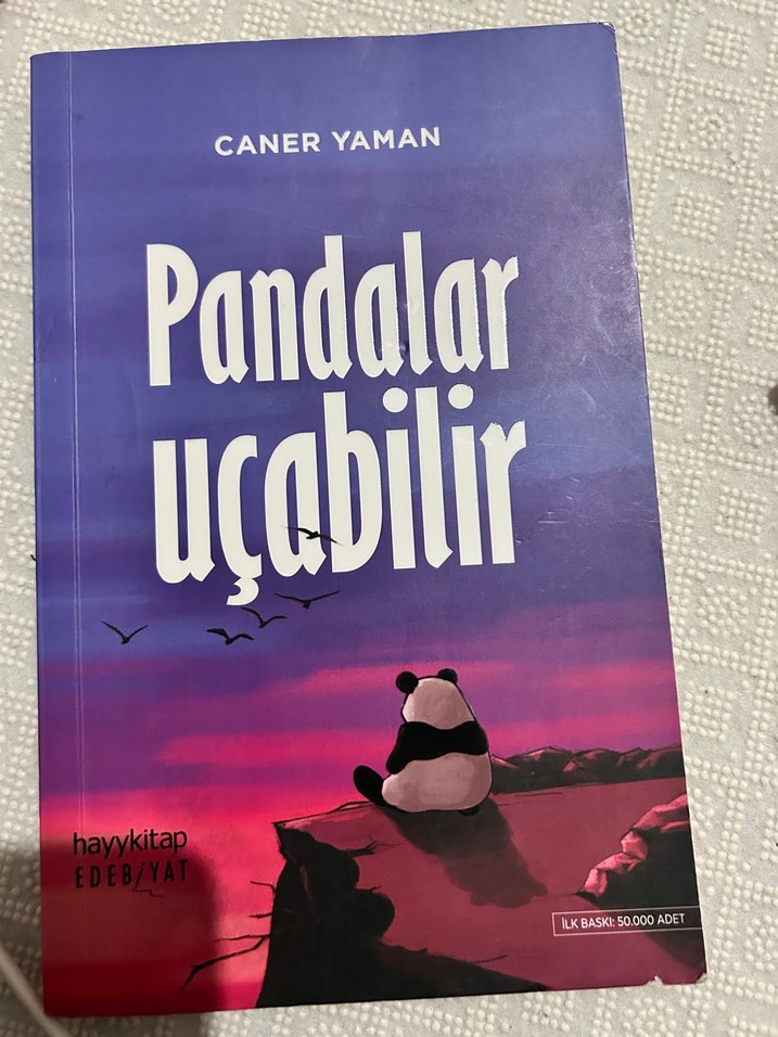 Hüzünlü Bir Ponçik - Çağrı Taner - Görsel 4