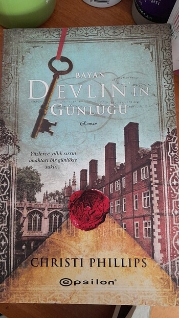 BAYAN DEVLIN'IN GÜNLÜĞÜ