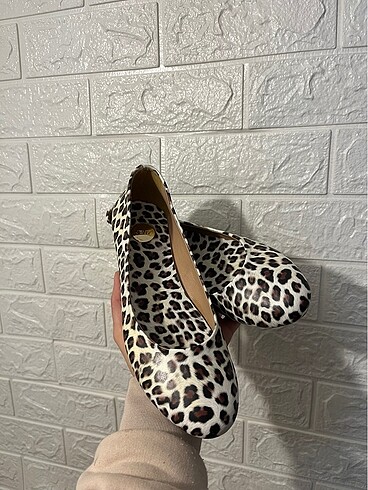 Leopar babet