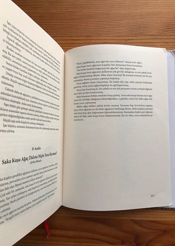 Her Güne Bir Masal Kitabı Ciltli