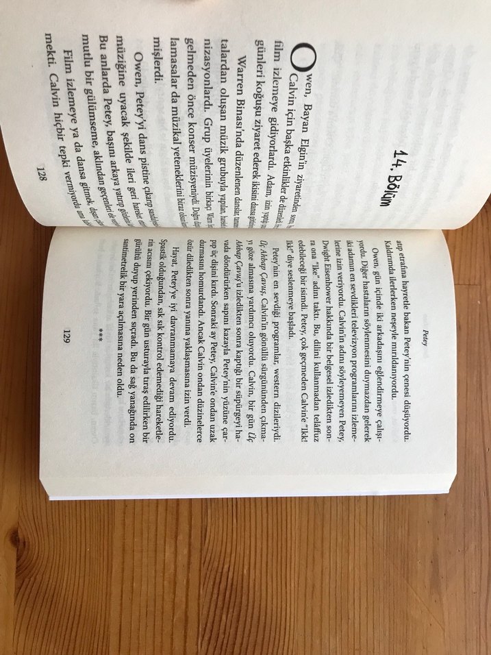 Petey - Ben Mikaelsen - Görsel 3