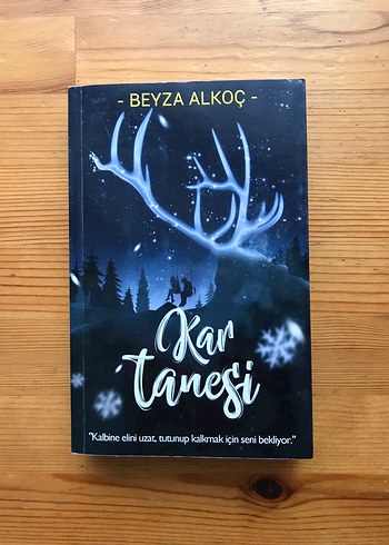 Kar Tanesi - Beyza Alkoç