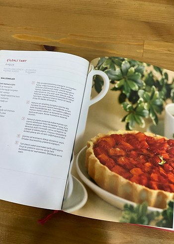 Modern Türk Mutfağı - Alev Kaman - Görsel 4