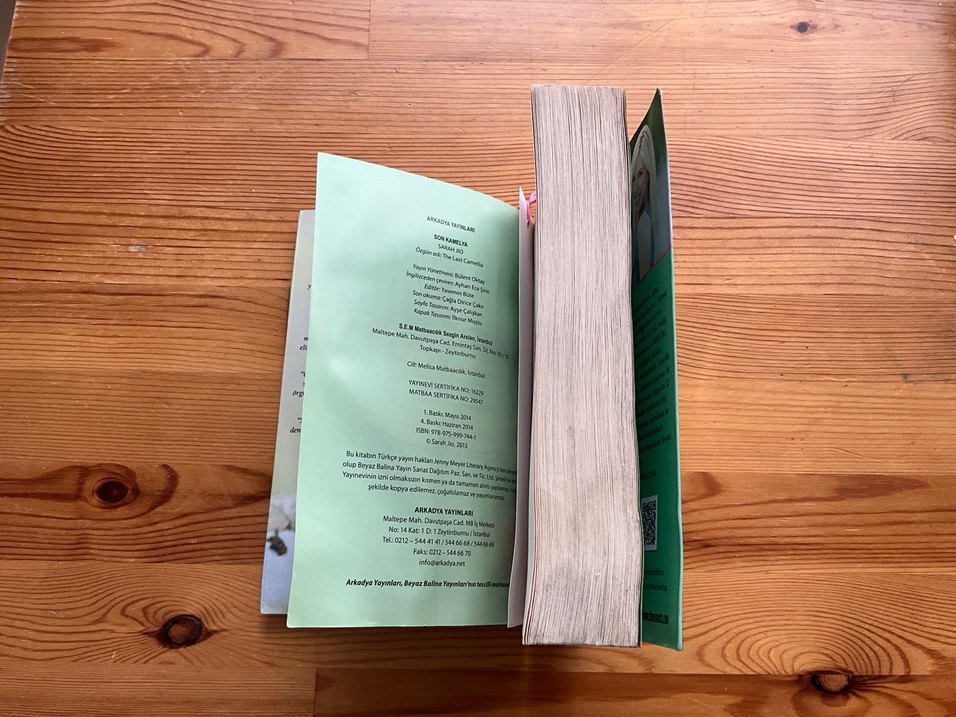 Son Kamelya - Sarah Jio - Görsel 4