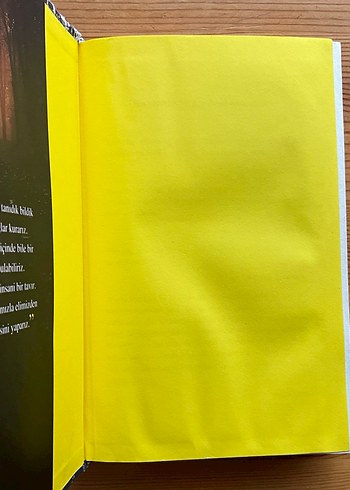 Eğer Beni Bulursan - Emily Murdoch - Görsel 3