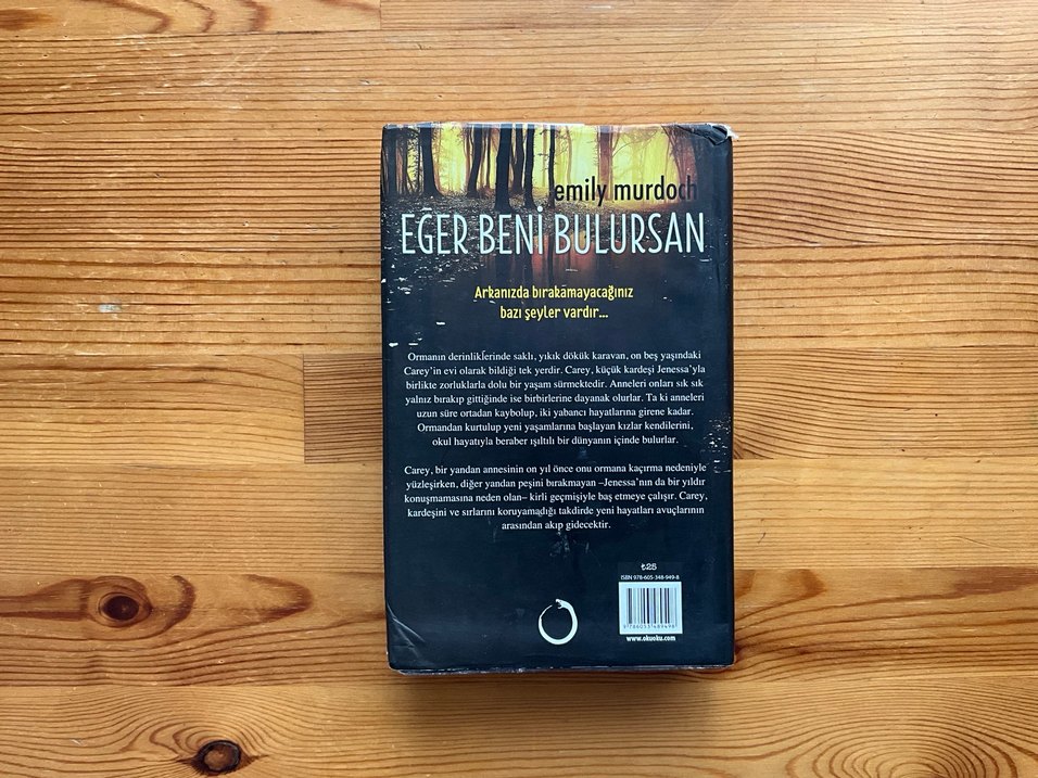 Eğer Beni Bulursan - Emily Murdoch - Görsel 2