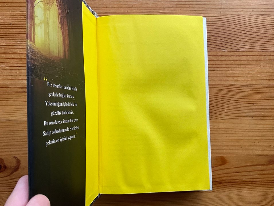 Eğer Beni Bulursan - Emily Murdoch - Görsel 3