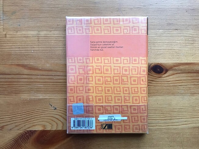 Lavinia - Özdemir Asaf - Görsel 2