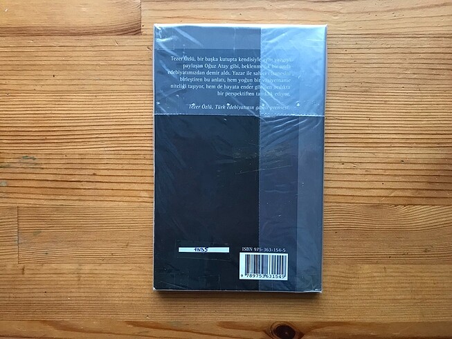 Yaşamın Ucuna Yolculuk - Tezer Özlü - Görsel 2