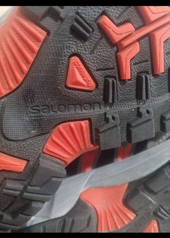 Salamon bot - Görsel 4