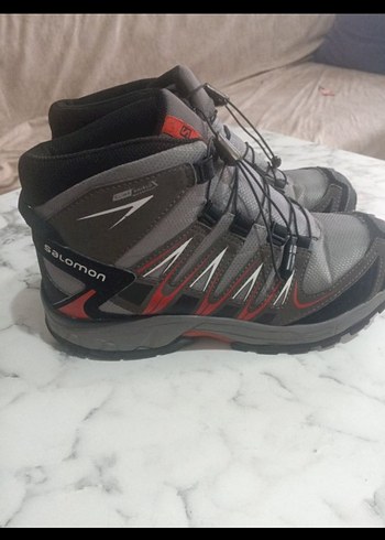 Salamon bot - Görsel 2