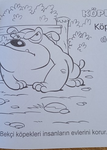 Eğitici Boyama Kitapları: Hayvanlar ve Renkler - Görsel 10