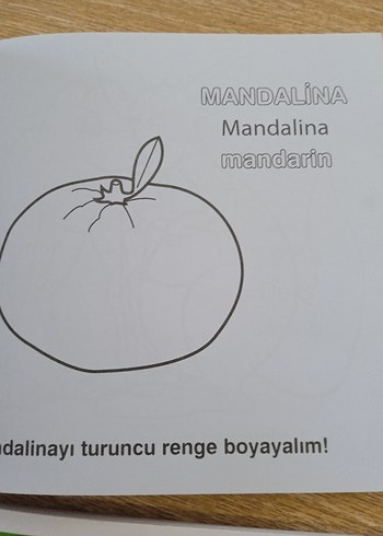 Eğitici Boyama Kitapları: Hayvanlar ve Renkler - Görsel 5