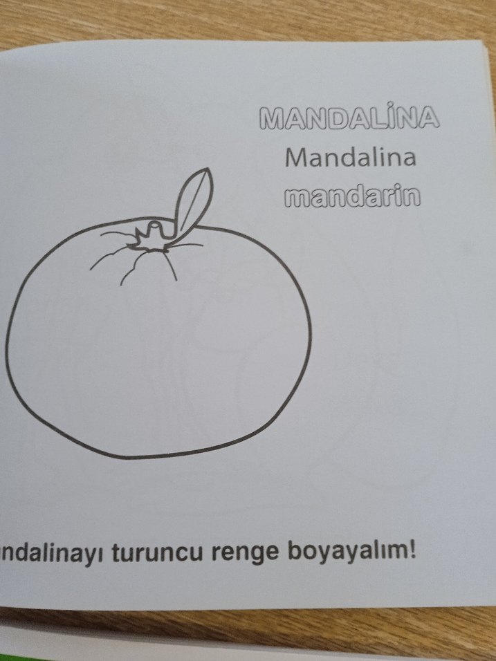 Eğitici Boyama Kitapları: Hayvanlar ve Renkler - Görsel 5