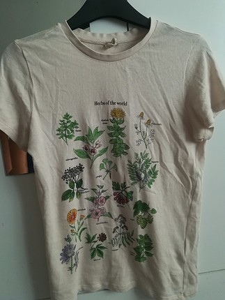 Urban Outfitters Herbs of the world tişört 