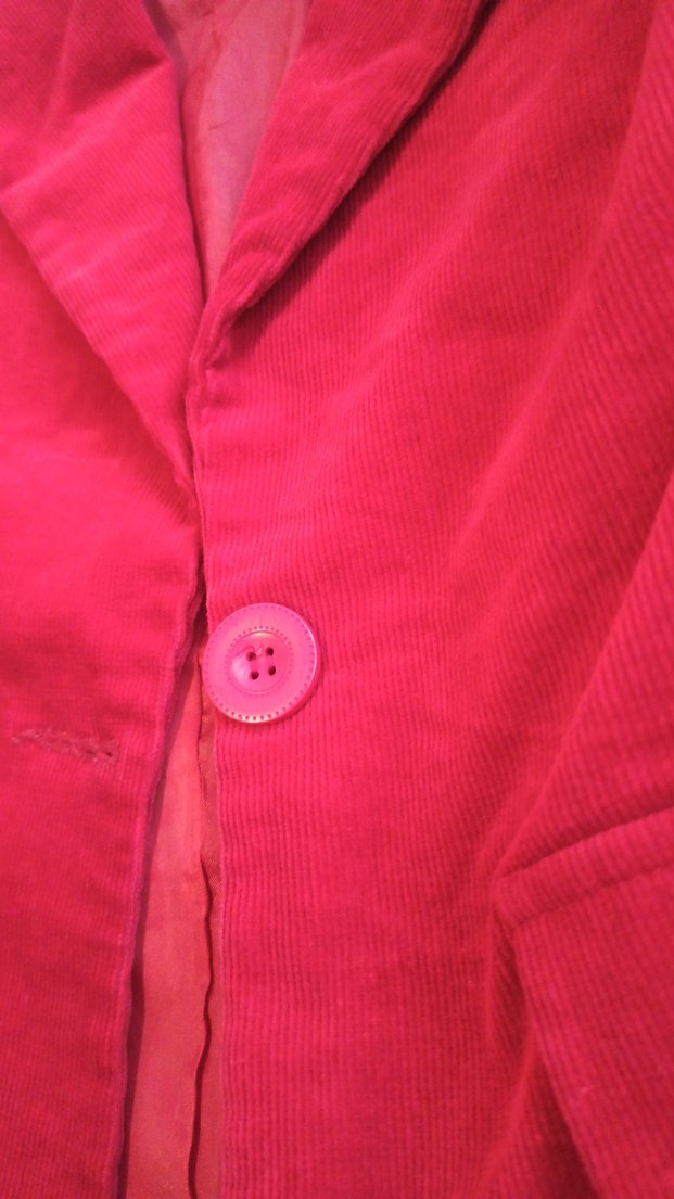 Kırmızı kadife Kadın Blazer Ceket - Görsel 2