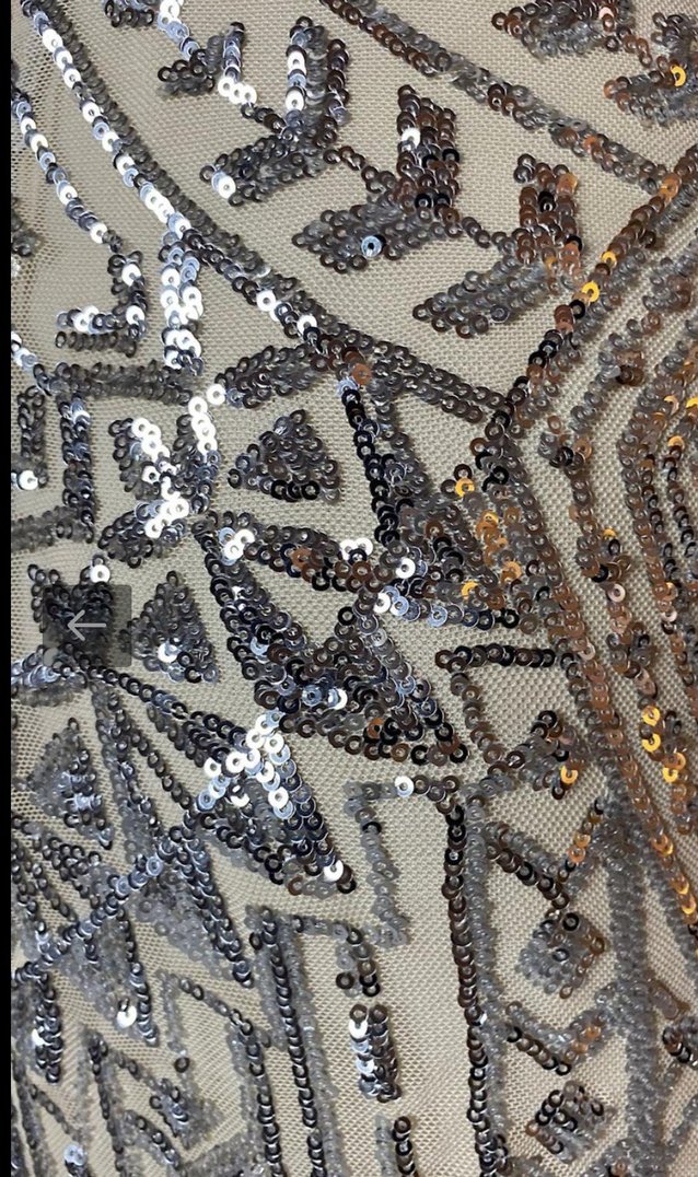 Bej İşlemeli Uzun V Yaka Kadın Abiye Elbise - Görsel 2