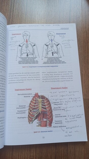 Fizyoloji kitabı 