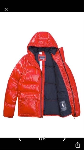 Tommy hilfiger