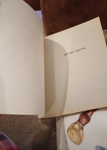 Beyaz Geyik - Çocuk Kitabı - Görsel 7