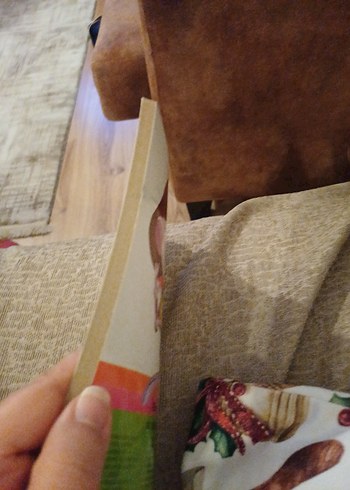 Beyaz Geyik - Çocuk Kitabı - Görsel 3