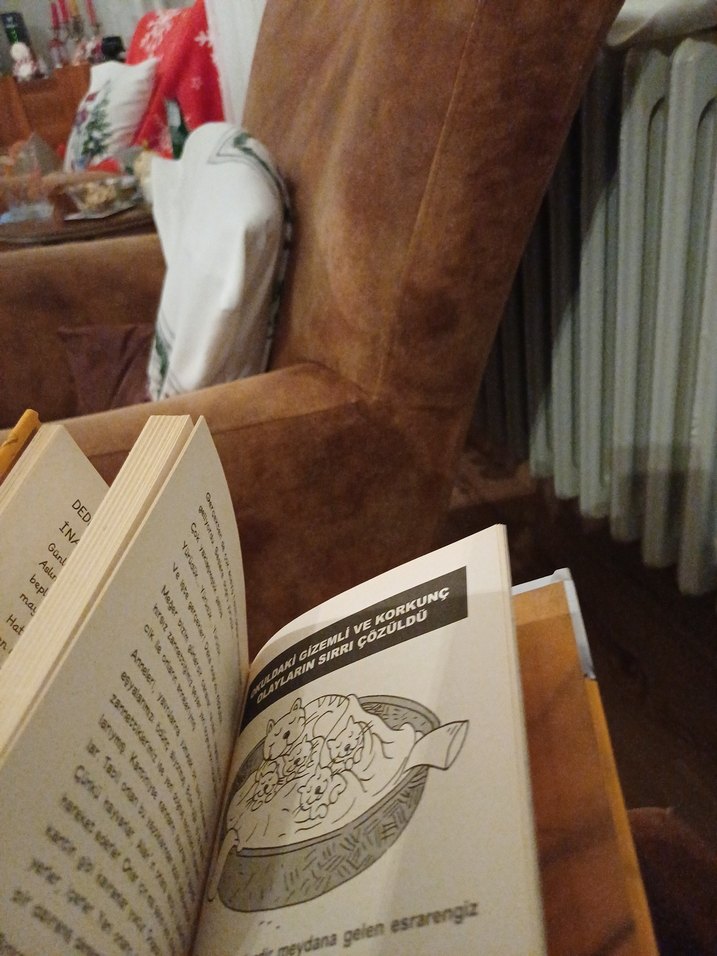 Sessiz Şakin'in Gürültülü Maceraları - Acayip Bir Gazete - Görsel 3