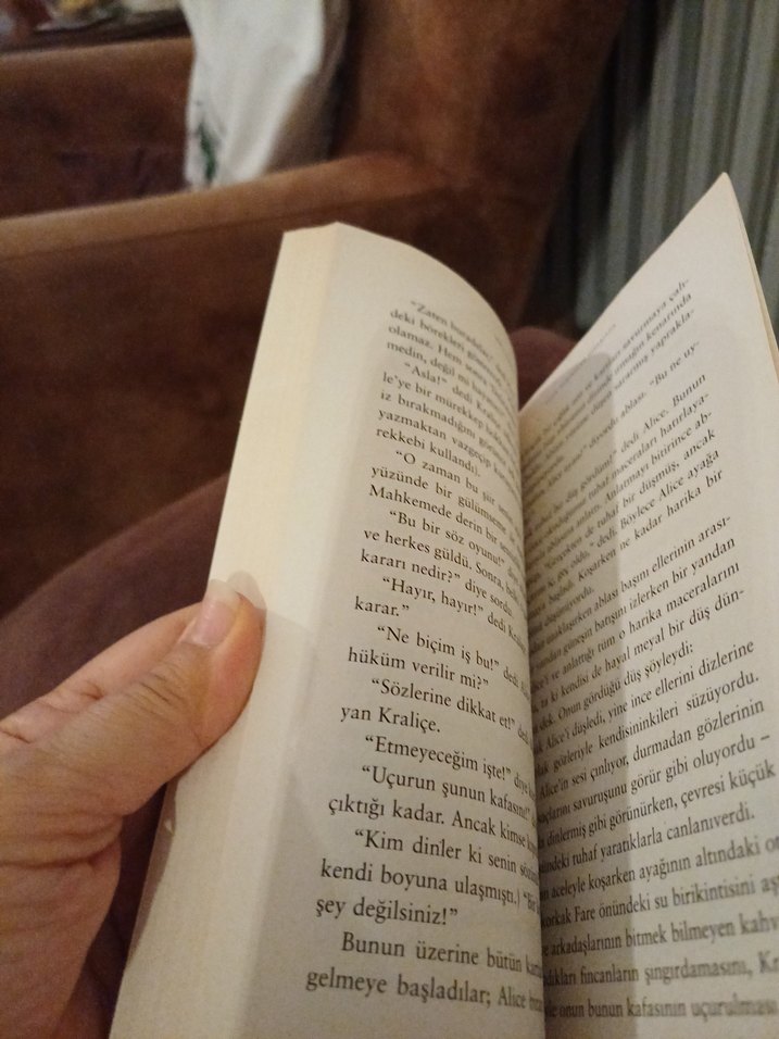 Alice Harikalar Diyarında - 100 Temel Eser - Görsel 4