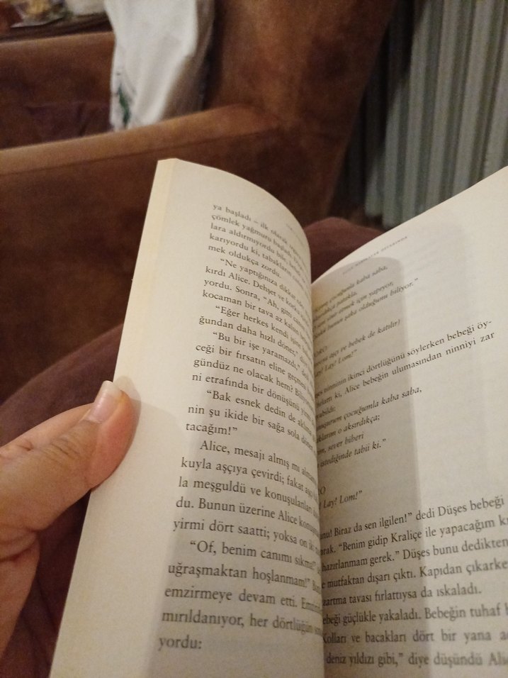 Alice Harikalar Diyarında - 100 Temel Eser - Görsel 5
