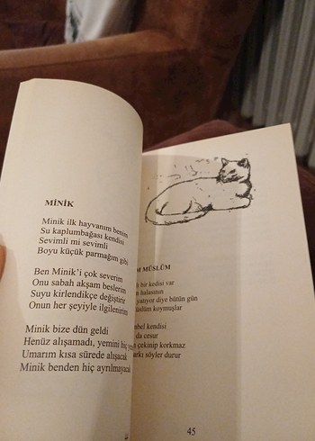 Kumbara - Eylül Ada Uçak, Oğuz Uçak - Görsel 4