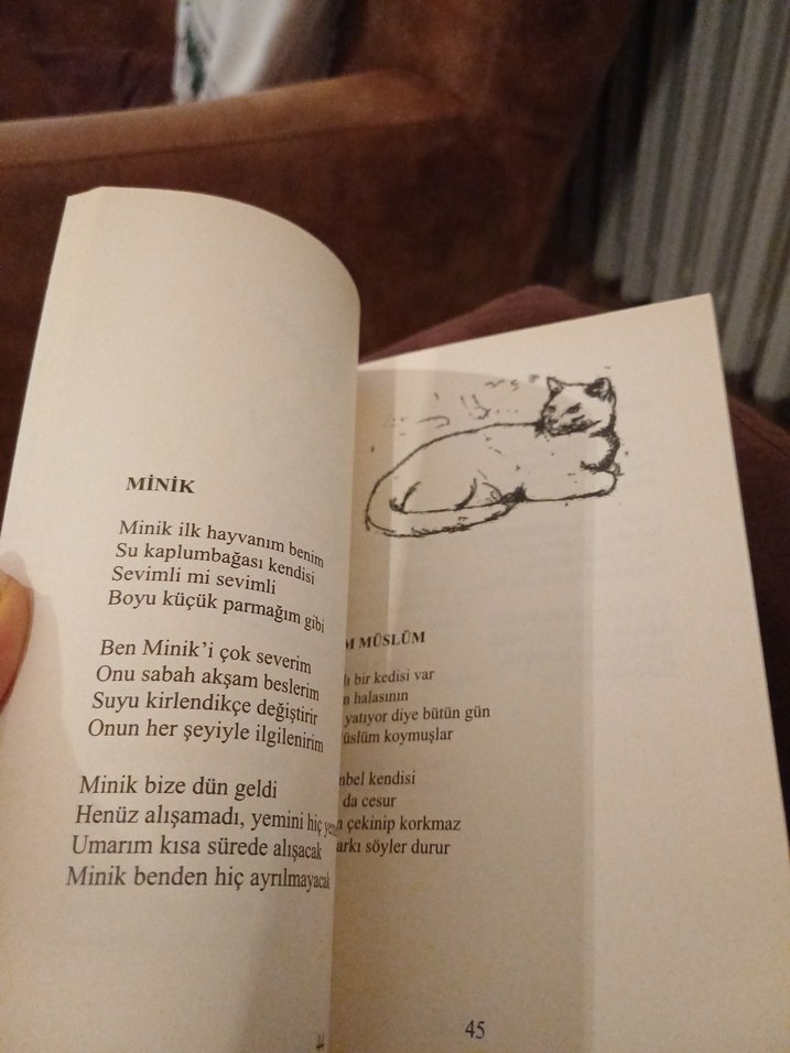 Kumbara - Eylül Ada Uçak, Oğuz Uçak - Görsel 4