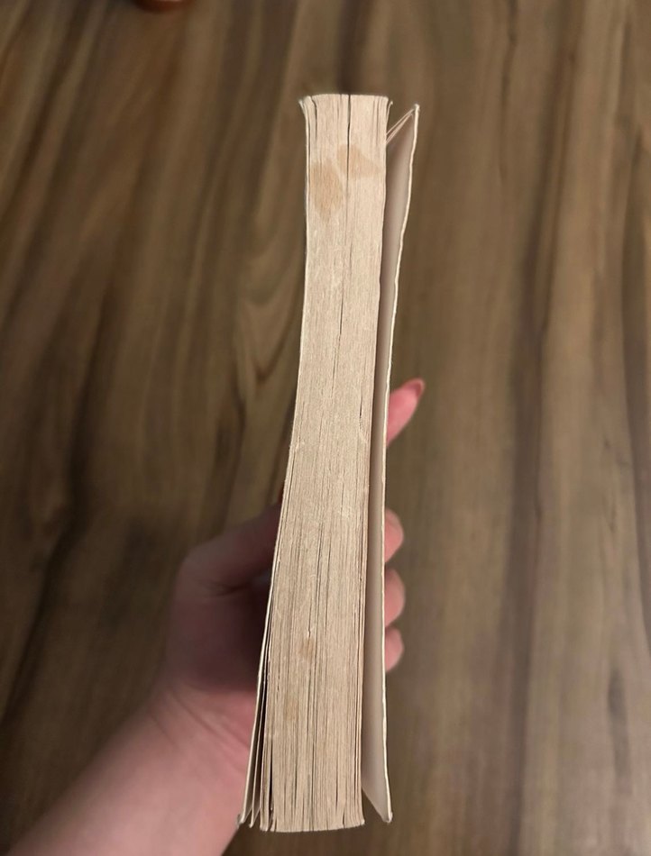 The Summer I Turned Pretty - Jenny Han - Görsel 3