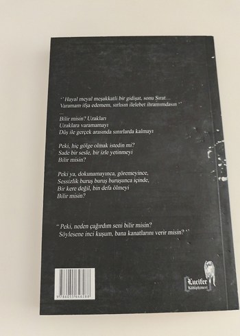 Bana Kanatlarını Verir Misin - Gamze Atal - Görsel 2