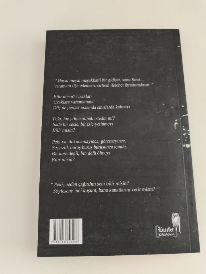 Bana Kanatlarını Verir Misin - Gamze Atal - Görsel 2