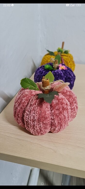 Örgü balkabakları - Görsel 7