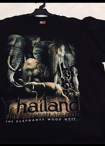 Jolygolf tshirt - Görsel 5