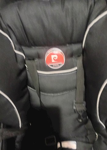 Siyah Bebek Arabası - Görsel 2