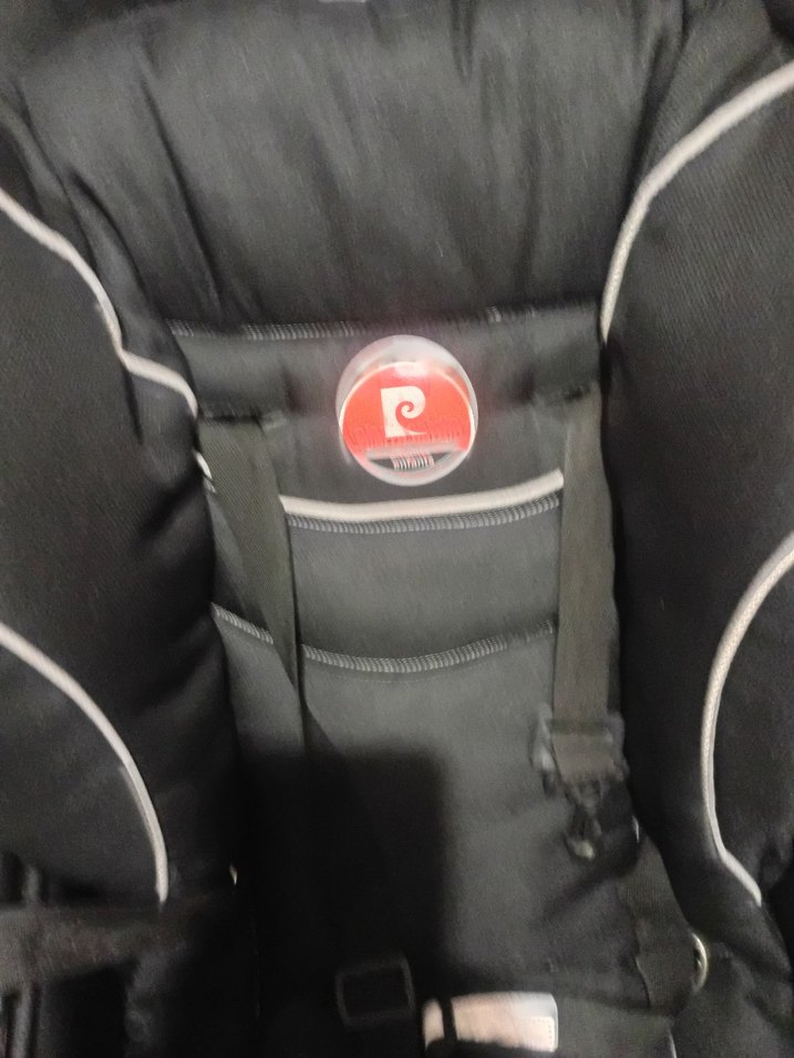 Siyah Bebek Arabası - Görsel 2