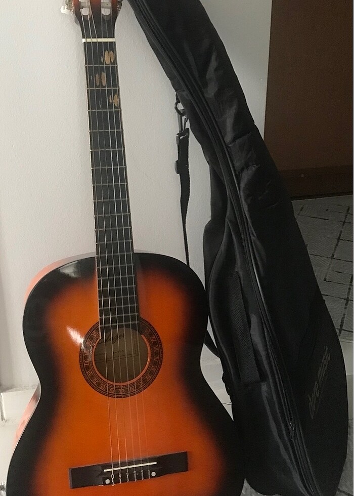 Blazer gitar - Görsel 2