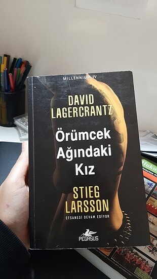 Örümcek ağındaki kız