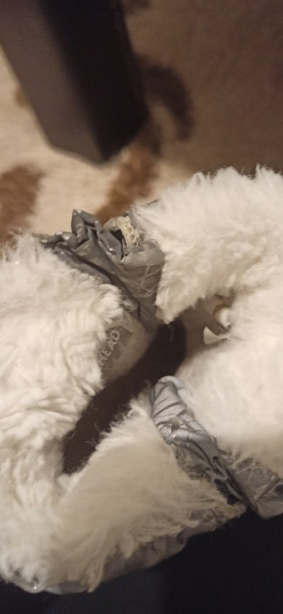 Kız Çocuk Gri Kemerli Botlar - Görsel 4