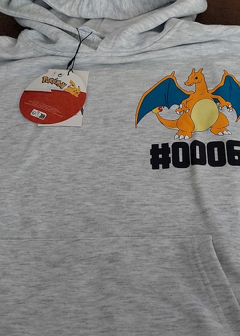 Kapüşonlu Gri Erkek Çocuk Sweatshirt - Görsel 2