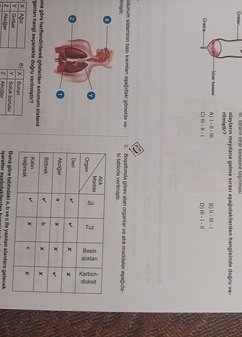  6. Sınıf Pruva sorular konusuyor