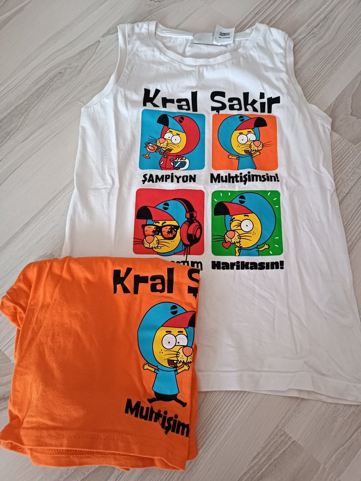 Lcw Renkli Baskılı Erkek Çocuk Atlet ve Şort Takımı - Görsel 2