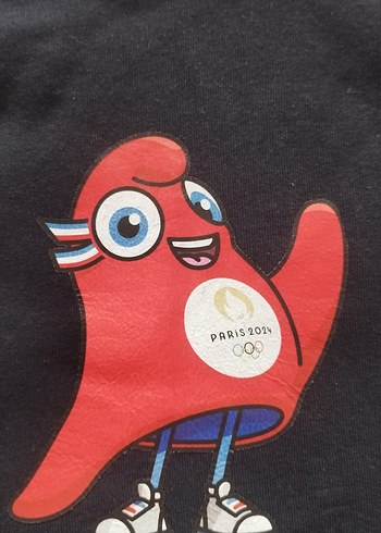 Zara Erkek Çocuk Gri Baskılı Sweatshirt ve Eşofman Takımı
