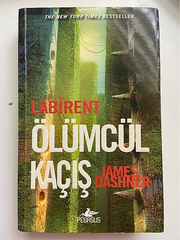 Labirent Ölümcül Kaçış