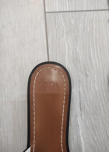 Zara Zara terlik 