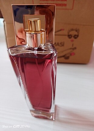 Avon 