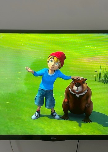 Regal 40R6015F Full HD Uydu Alıcılı Smart LED TV - Görsel 2