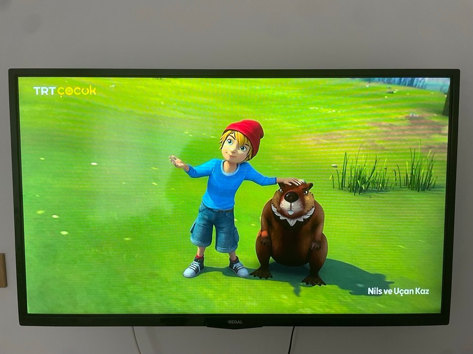 Regal 40R6015F Full HD Uydu Alıcılı Smart LED TV - Görsel 2