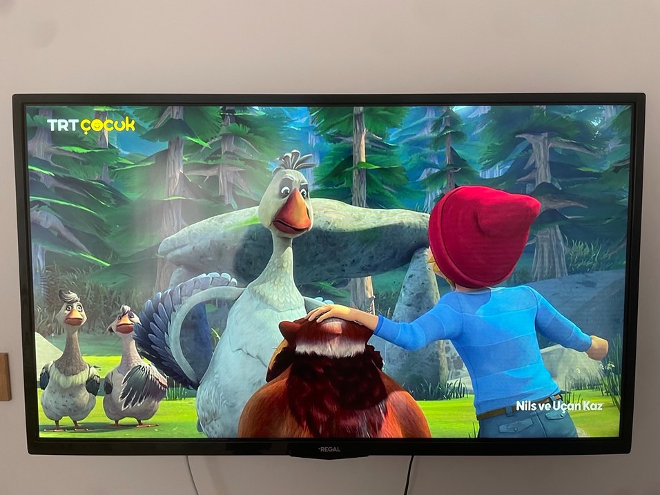 Regal 40R6015F Full HD Uydu Alıcılı Smart LED TV - Görsel 3